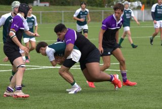 dw5a7738.jpg - JPEG - 444.3 ko - 2000×1350 px