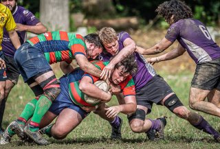 _nz85679.jpg - JPEG - 292.9 ko - 1024×693 px