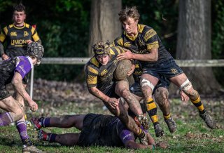 _nz88133.jpg - JPEG - 238.7 ko - 1024×695 px