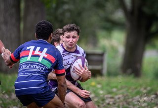 _nz85463.jpg - JPEG - 146.3 ko - 1024×698 px