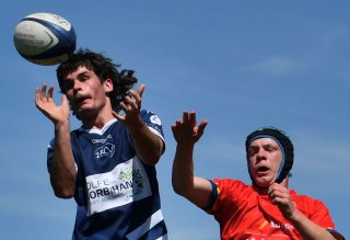 dsc_8011_-_copie.jpg - JPEG - 187 ko - 1500×1023 px