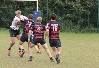 gp5f1667.jpg - JPEG - 468.1 ko - 2000×1365 px