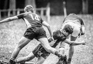 _nz86670.jpg - JPEG - 184.9 ko - 1024×704 px