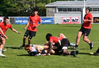 dsc_7485.jpg - JPEG - 178.8 ko - 2000×1325 px