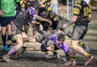 _nz88211-2.jpg - JPEG - 292.5 ko - 1024×705 px