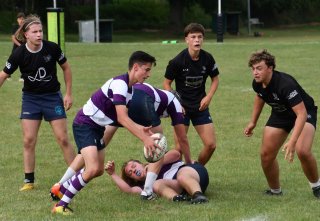 dsc_1946-4.jpg - JPEG - 197.9 ko - 2000×1333 px