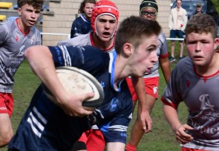 dsc_2230.jpg - JPEG - 399 ko - 2000×1325 px