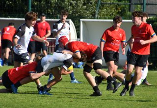 dsc_7698-2.jpg - JPEG - 147.8 ko - 1600×1068 px