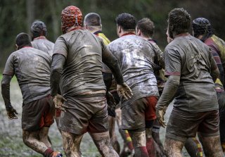 dsc02524-avec_accentuation-bruit.jpg - JPEG - 451.4 ko - 2000×1393 px