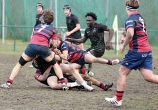 gp5f6998.jpg - JPEG - 410.5 ko - 2000×1389 px