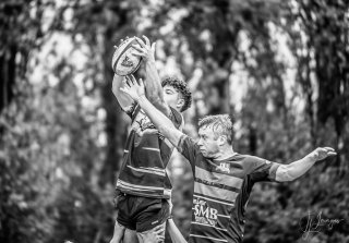 z63_4352.jpg - JPEG - 160.1 ko - 1024×711 px