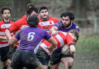 _nz87767.jpg - JPEG - 191.1 ko - 1024×715 px