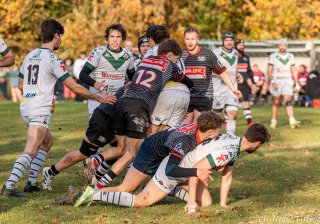 dsc08612.jpg - JPEG - 706.7 ko - 2000×1399 px