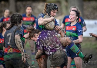 _nz88811.jpg - JPEG - 203.3 ko - 1024×720 px