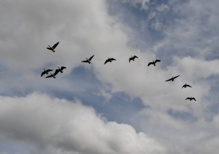 dsc_2209-3.jpg - JPEG - 471.4 ko - 2000×1325 px