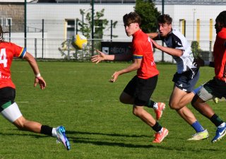 dsc_7727-3.jpg - JPEG - 297.1 ko - 1500×1053 px