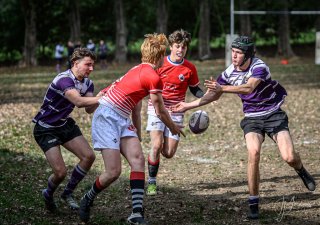 z63_5148.jpg - JPEG - 249.2 ko - 1024×717 px