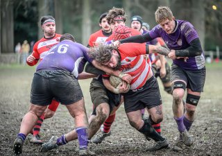 z63_6868.jpg - JPEG - 261.8 ko - 1024×720 px