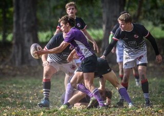 _nz86493.jpg - JPEG - 221.9 ko - 1024×723 px