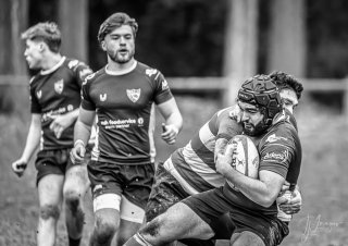 _nz87727.jpg - JPEG - 164.7 ko - 1024×721 px