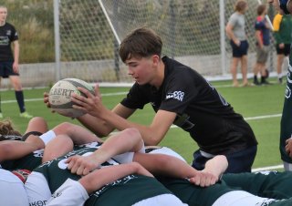 dsc_1725.jpg - JPEG - 552 ko - 2000×1317 px