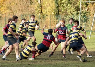 gp5f5660-2.jpg - JPEG - 622.2 ko - 2000×1407 px