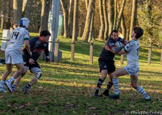 dsc08670.jpg - JPEG - 794.7 ko - 2000×1417 px