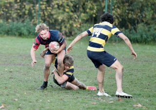 gp5f6299-2.jpg - JPEG - 476.7 ko - 2000×1417 px