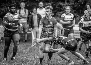 _nz85447.jpg - JPEG - 223.1 ko - 1024×727 px