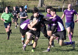 dsc_0132-6.jpg - JPEG - 1.1 Mo - 3712×2644 px