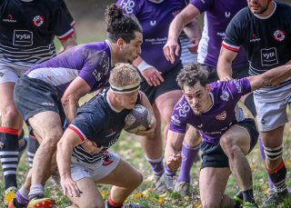 _nz86511.jpg - JPEG - 240.7 ko - 1024×732 px