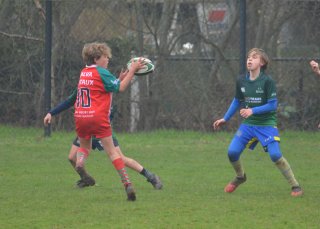 dsc_0773-5.jpg - JPEG - 164.8 ko - 2000×1325 px