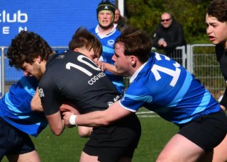 dsc_1425-5.jpg - JPEG - 111.3 ko - 1500×1605 px