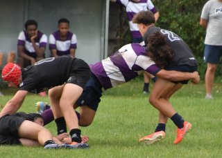 dsc_1935.jpg - JPEG - 452.6 ko - 2000×1325 px