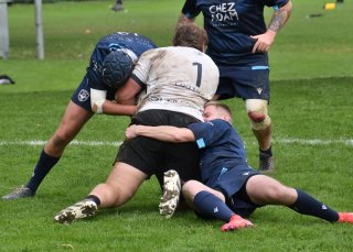 dsc_3422-3.jpg - JPEG - 415.3 ko - 2000×1430 px