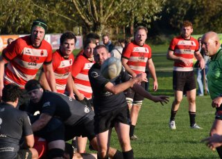 dsc_4142-2.jpg - JPEG - 217.9 ko - 2000×1333 px