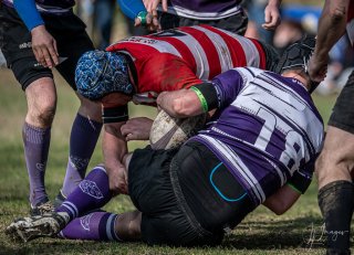 _nz82332.jpg - JPEG - 246.2 ko - 1024×739 px