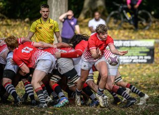 _nz86362.jpg - JPEG - 266.9 ko - 1024×739 px