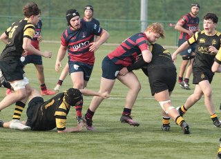 gp5f1459.jpg - JPEG - 465.8 ko - 2000×1441 px