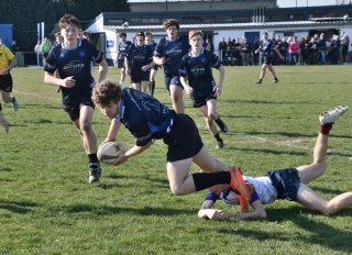 dsc_1185-3.jpg - JPEG - 157.7 ko - 2000×1160 px