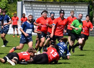 dsc_8129.jpg - JPEG - 236.1 ko - 2000×1335 px