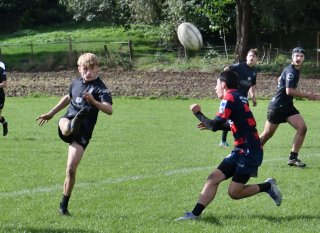 dsc_3150-3.jpg - JPEG - 209.9 ko - 2000×1325 px