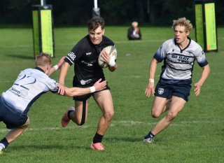 dsc_3549.jpg - JPEG - 361.5 ko - 2000×1453 px