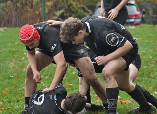 dsc_4397-3.jpg - JPEG - 268.1 ko - 2000×1325 px