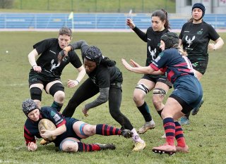 gp5f9351.jpg - JPEG - 570.9 ko - 2000×1453 px