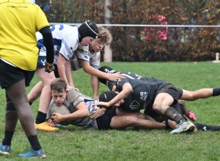 dsc_4244-3.jpg - JPEG - 124.6 ko - 2000×1335 px