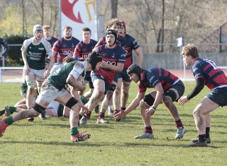 gp5f2000.jpg - JPEG - 573.7 ko - 2000×1467 px