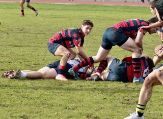 gp5f4659.jpg - JPEG - 710.6 ko - 2000×1463 px