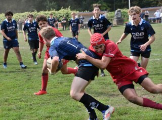 dsc_1564.jpg - JPEG - 143.7 ko - 2000×1325 px