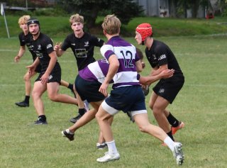 dsc_1949.jpg - JPEG - 264.5 ko - 2000×1325 px